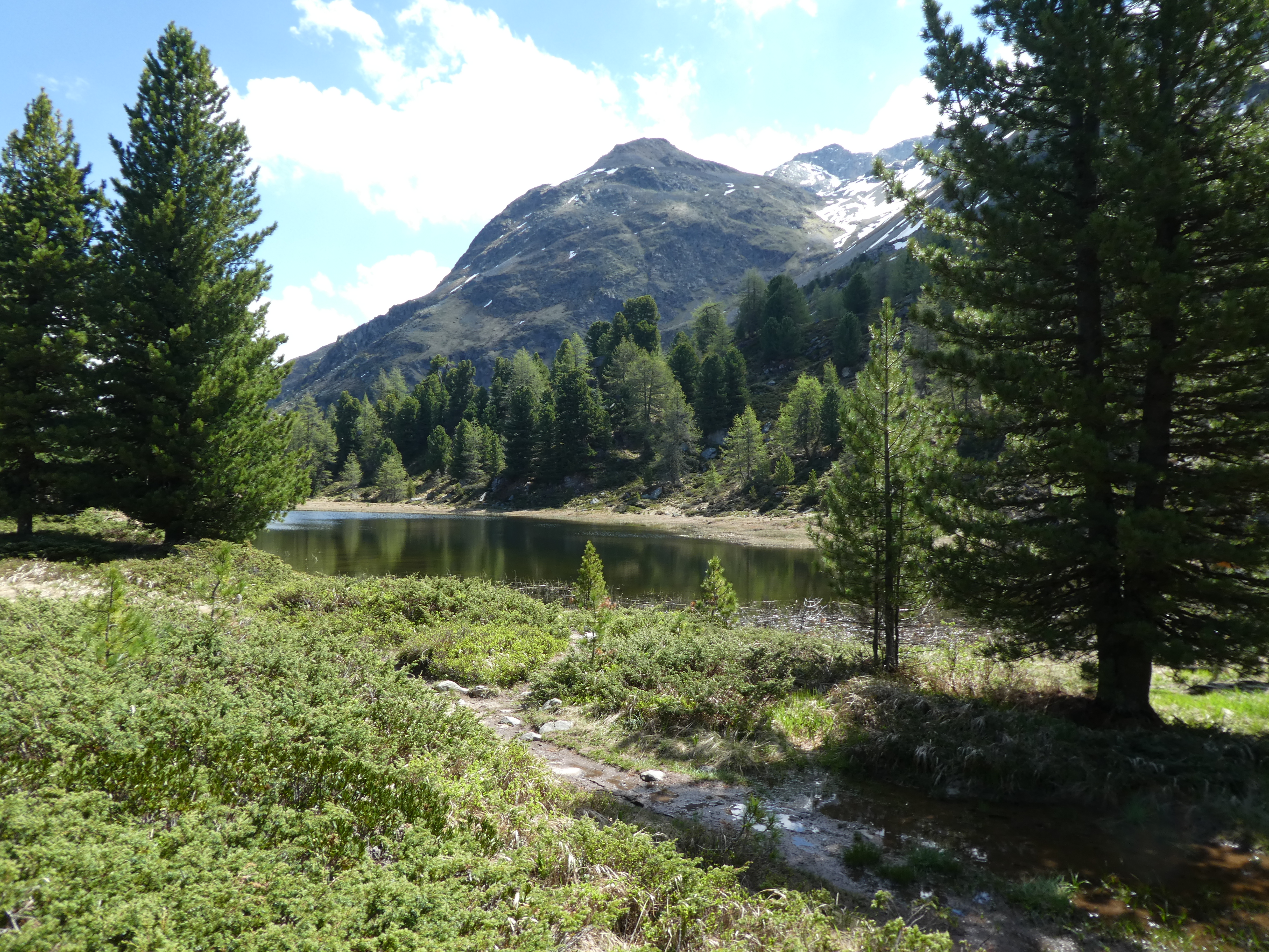 Hahnensee, 2017