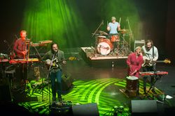 Alcoholic Faith Mission beim Immergut Festival 2015